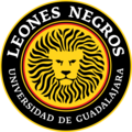 Leones Negros 2