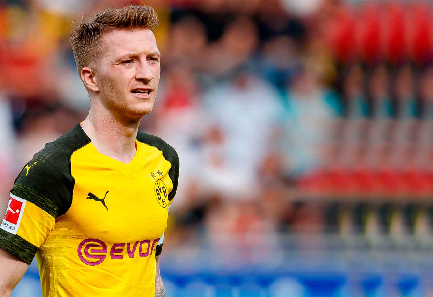 Reus Marco