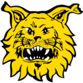 Ilves