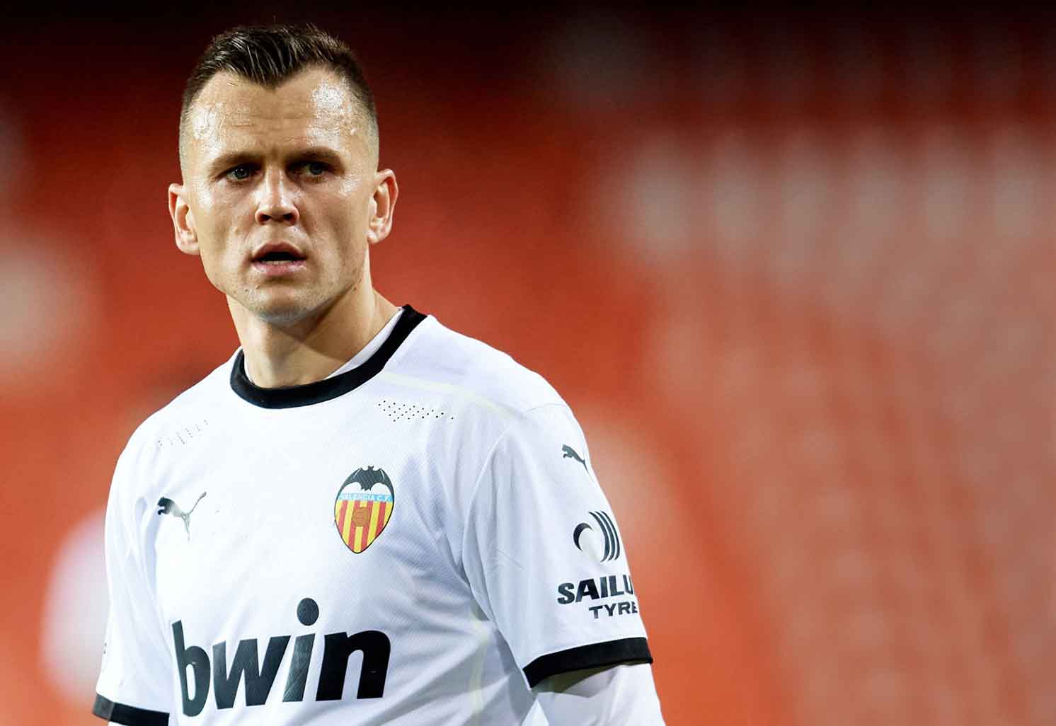 Cheryshev Denis