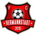 Команда FC Hermannstadt