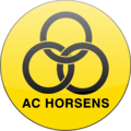 Команда Horsens
