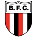 Команда Botafogo SP