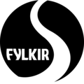 Команда Fylkir