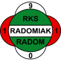 Команда Radomiak Radom