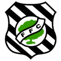 Команда Figueirense